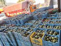 Negocio Aceites Y Extractos Vegetales