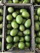Negocio Agroindustrias Ricos