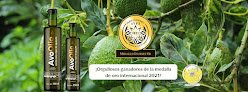 Negocio Avoolio | Avocado Oil De México
