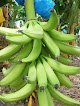 Negocio Bodega De Frutas Cancún