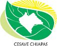 Negocio Comite Estatal De Sanidad Vegetal De Chiapas Oficina Enlace Regional Pichucalco