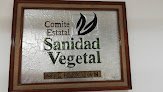 Negocio Comite Estatal De Sanidad Vegetal De Michoacan