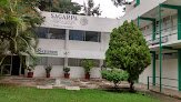 Negocio Comité Estatal De Sanidad Vegetal De Morelos