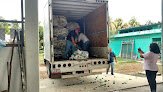 Negocio Comite Estatal De Sanidad Vegetal De Quintana Roo