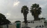 Negocio Comité Estatal De Sanidad Vegetal De Yucatán (cesvy)
