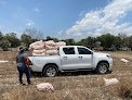 Negocio Distribuidora De Frutas Y Verduras