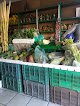 Negocio Frutas Finas