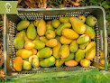 Negocio Frutas Y Hortalizas Orgánicas De Michoacán México S.a. De C.v.