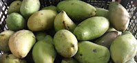 Negocio Frutas Y Verduras Ziracua