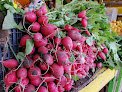 Negocio Frutería Tapatía