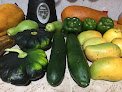 Negocio Frutimet