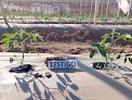 Negocio Fundación Produce Sinaloa