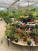 Negocio Jardinería Espacios Verdes Cancún