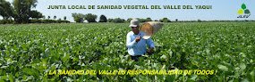 Negocio Junta Local De Sanidad Vegetal Del Valle Del Yaqui