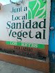 Negocio Junta Local Sanidad Vegetal Tata Lázaro