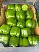 Negocio Lechugas El Ruso