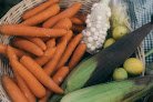 Negocio Mercado Orgánico Ameyalli Tlacualli