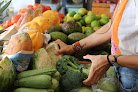 Negocio Mercado Sano Origen