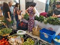 Negocio Tianguis Bosque De Agua Querétaro