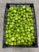 Negocio Valdez Produce
