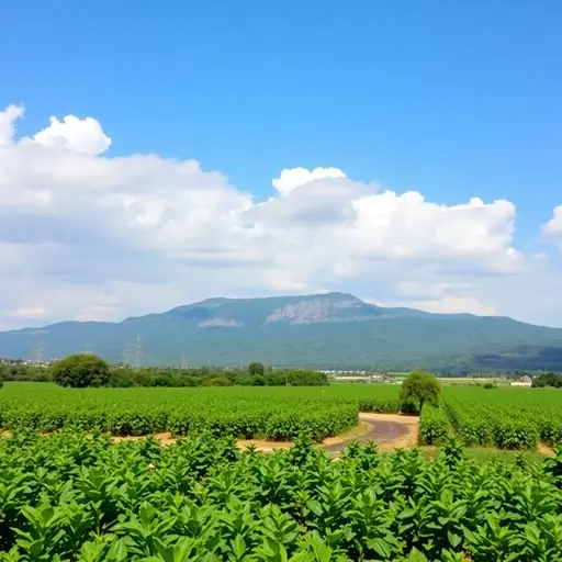 Vazagro MÉxico