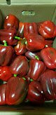 Negocio Vegetales Finos “el Ruso”