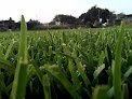 Negocio Vivero De Morelos (césped) Pasto En Rollo Natural Y Tierra Para Jardin.