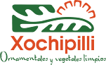 Negocio Xochipilli Ornamentales Y Vegetales Limpios