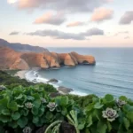 cabo-san-lucas