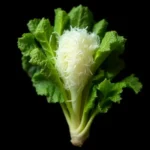 sevina